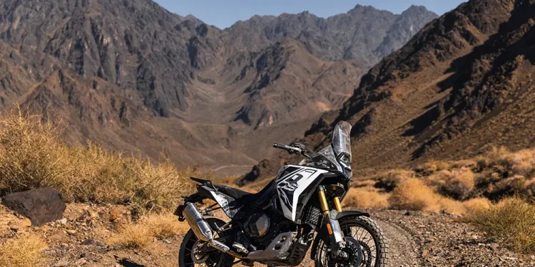 VOGE DS 800 RALLY EICMA 2024 12