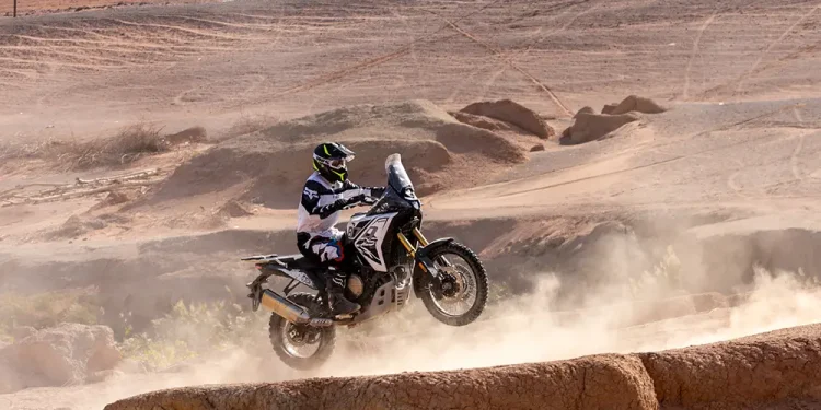 VOGE DS 800 RALLY EICMA 2024 21