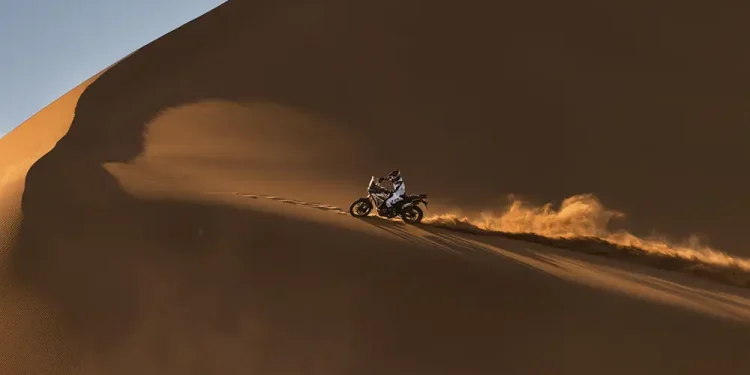 VOGE DS 800 RALLY EICMA 2024 3