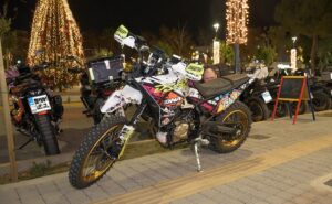 PPGRAPHICS RALLY TEAM DS800X RALLY