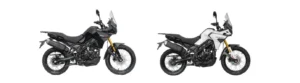 CYCLONE ZONSEN RX2